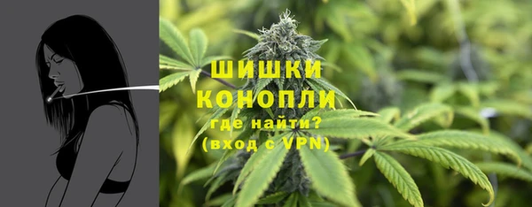 apvp Мегион