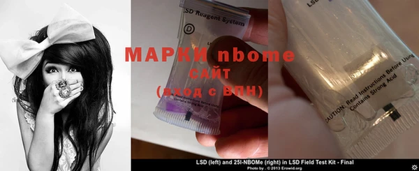 ПСИЛОЦИБИНОВЫЕ ГРИБЫ Медногорск