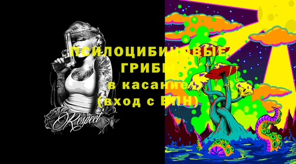ПСИЛОЦИБИНОВЫЕ ГРИБЫ Медногорск