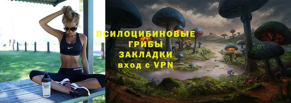 ПСИЛОЦИБИНОВЫЕ ГРИБЫ Медногорск