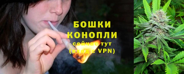 ПСИЛОЦИБИНОВЫЕ ГРИБЫ Медногорск