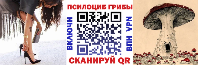 цены   Нерчинск  нарко площадка клад  Псилоцибиновые грибы Psilocybine cubensis 